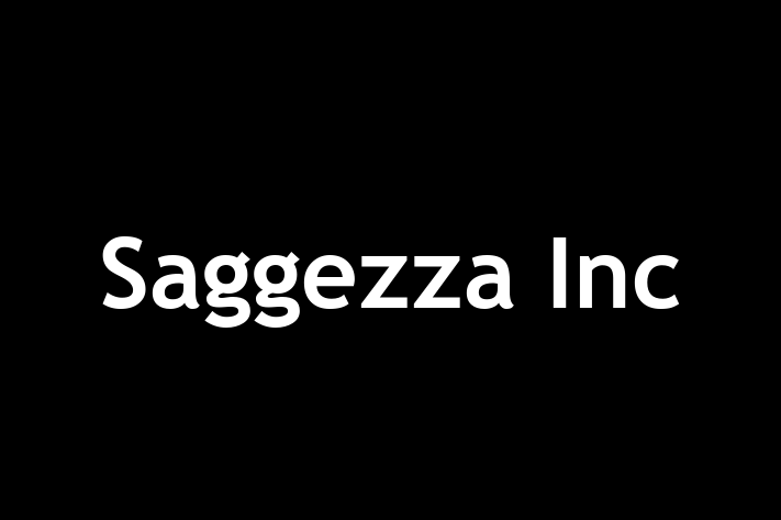 Software Services Company Saggezza Inc