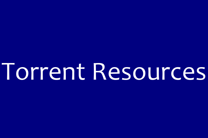 Digital Solutions Provider Torrent Resources