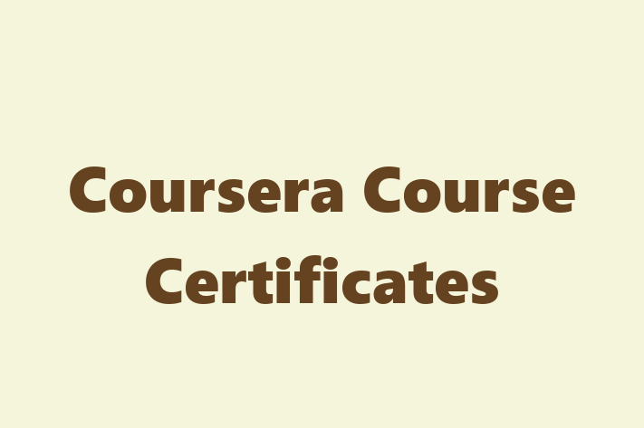 Software Services Company Coursera Course Certificates