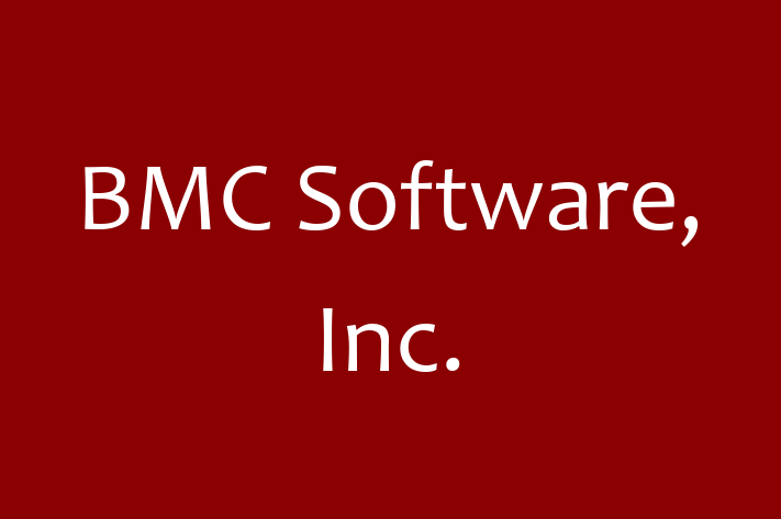 IT Company BMC Software Inc.