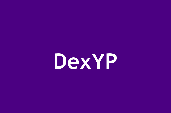 Software Development Company DexYP