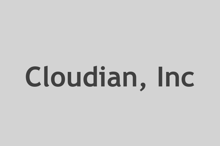 Software Services Company Cloudian Inc