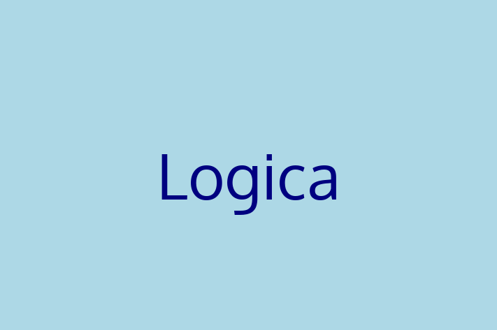 Application Development Company Logica