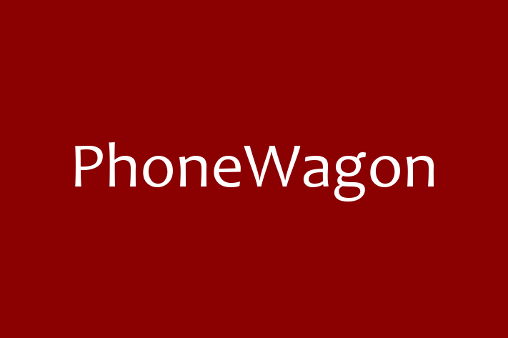 Software Engineering Company PhoneWagon