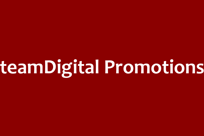 Technology Solutions Firm teamDigital Promotions