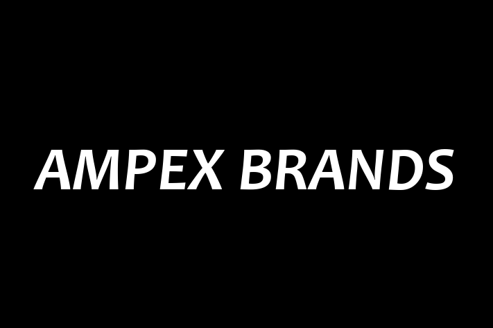 Human Capital Management AMPEX BRANDS