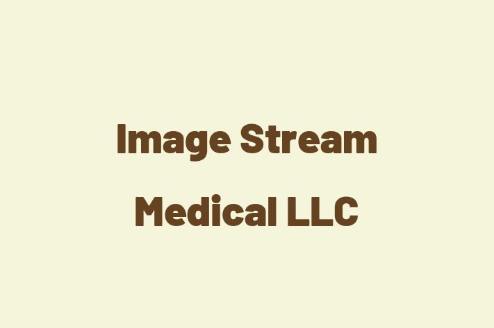 Technology Company Image Stream Medical LLC