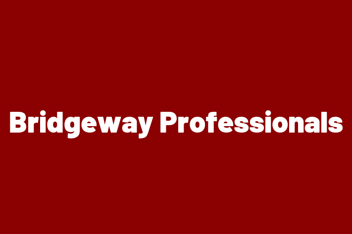 Human Capital Management Bridgeway Professionals