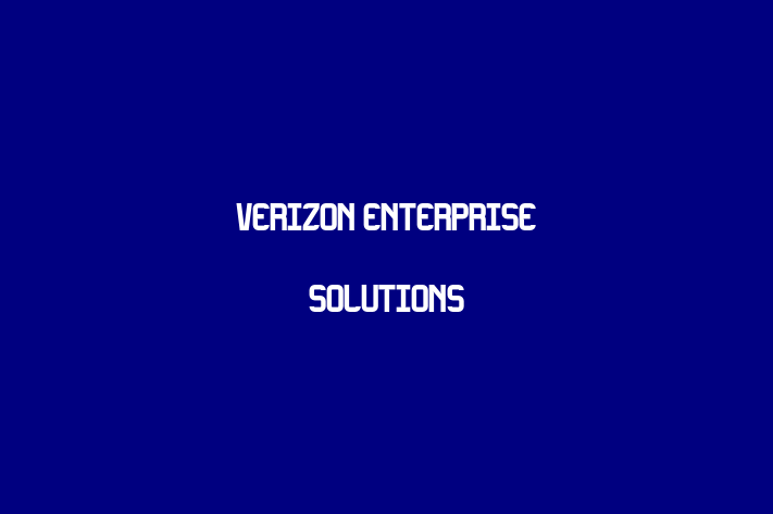 Software Development Company Verizon Enterprise Solutions