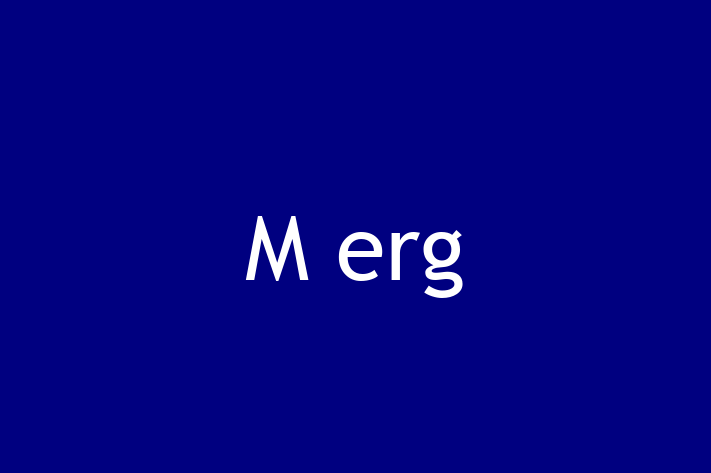 Tech Firm M erg