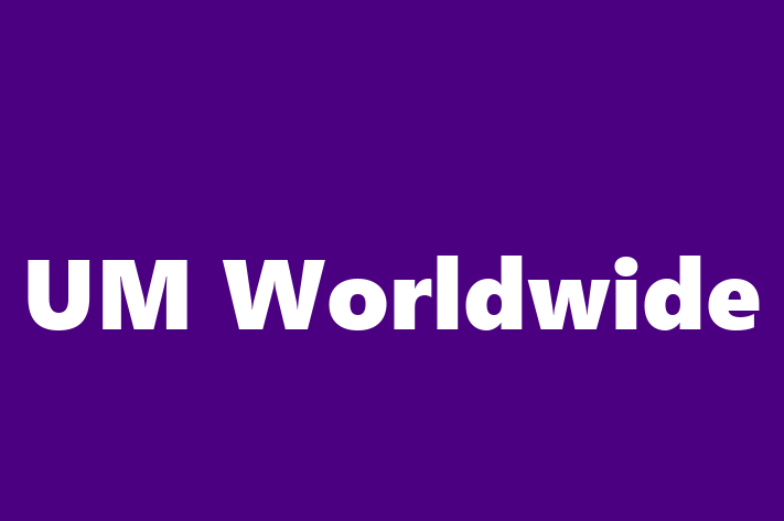 Digital Solutions Provider UM Worldwide