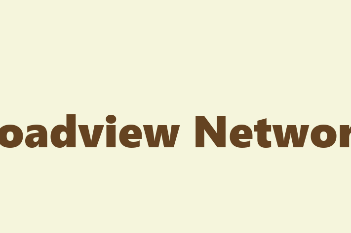 Technology Solutions Firm Broadview Networks