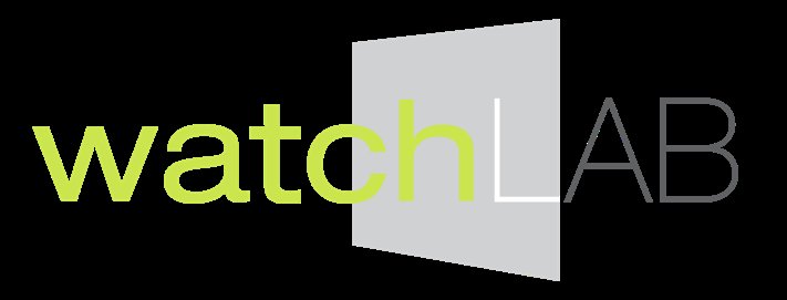 Software Engineering Company Watchlab Studios