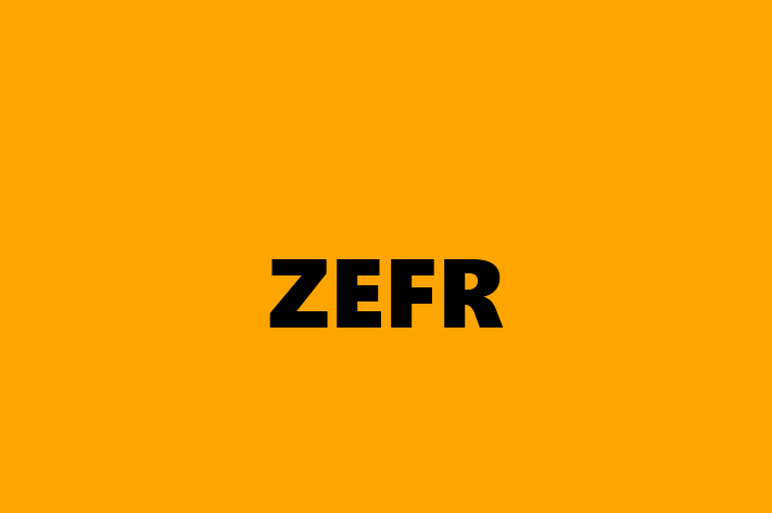 Tech Firm ZEFR