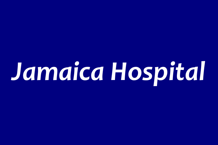 Talent Management Jamaica Hospital