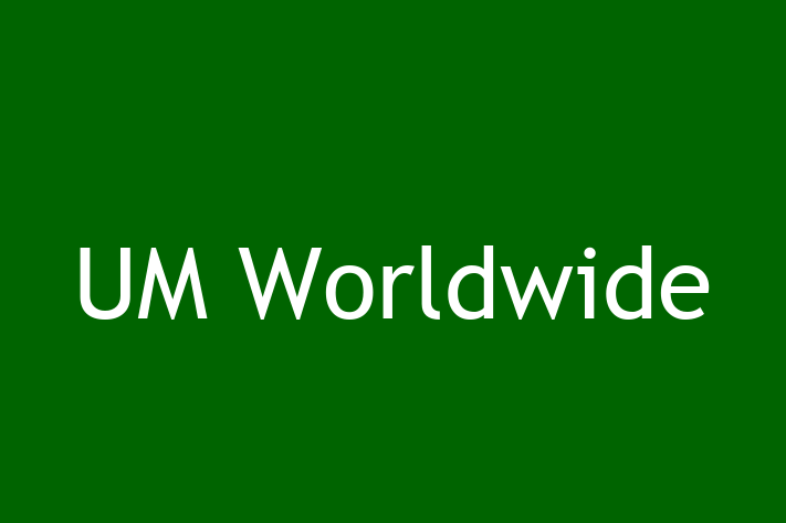 Software Solutions Provider UM Worldwide