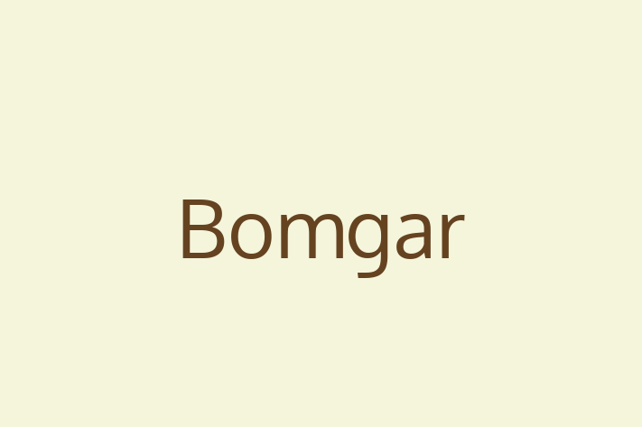 Software Engineering Company Bomgar