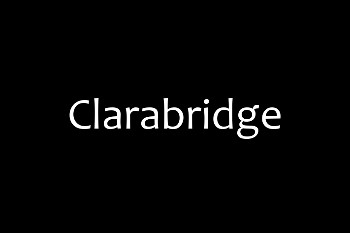 Tech Solutions Company Clarabridge