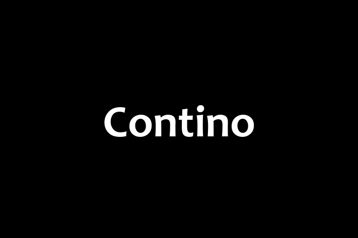 Digital Solutions Provider Contino