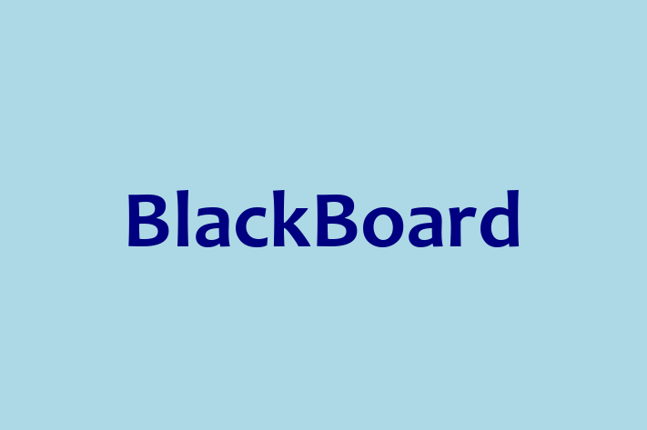 Software Development Company BlackBoard