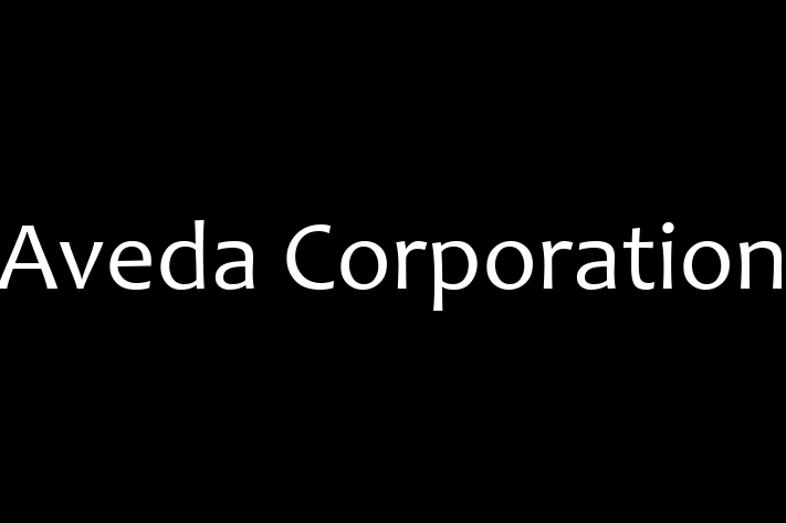 IT Company Aveda Corporation