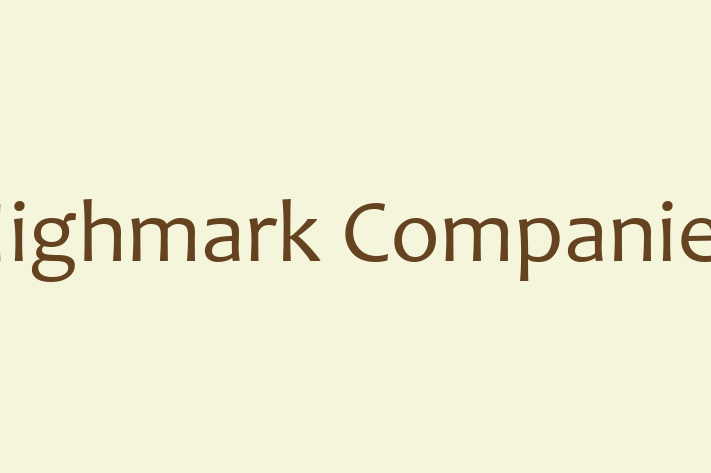 Software Consultancy Highmark Companies