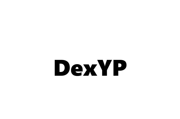 Software Services Company DexYP