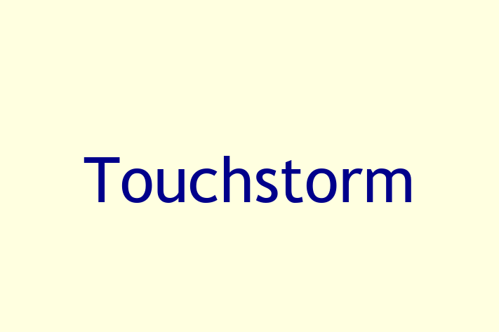 Software Development Firm Touchstorm