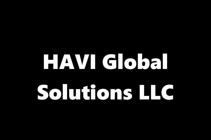 Application Development Company HAVI Global Solutions LLC