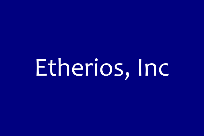 IT Company Etherios Inc