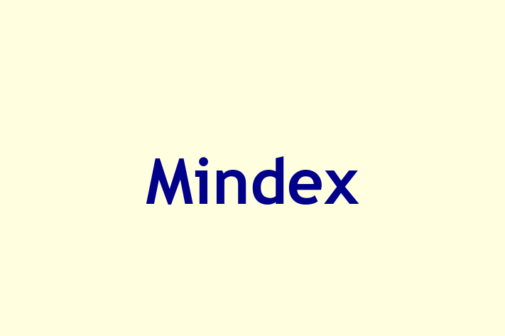 People Management Mindex