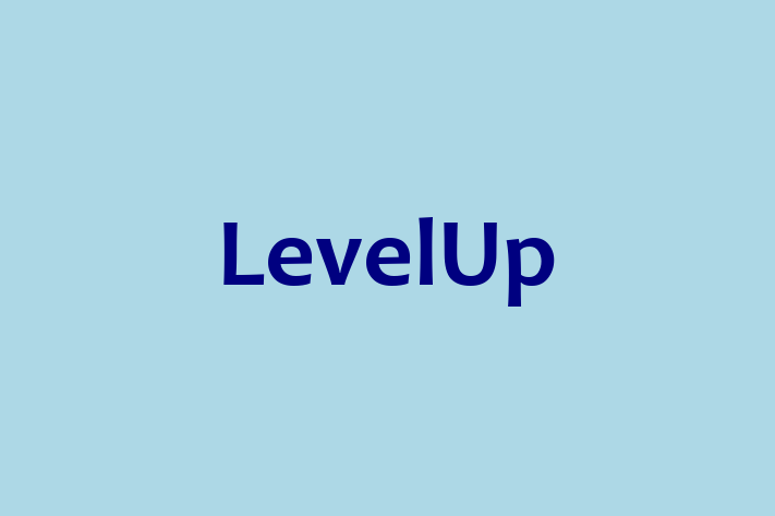 Technology Solutions Firm LevelUp