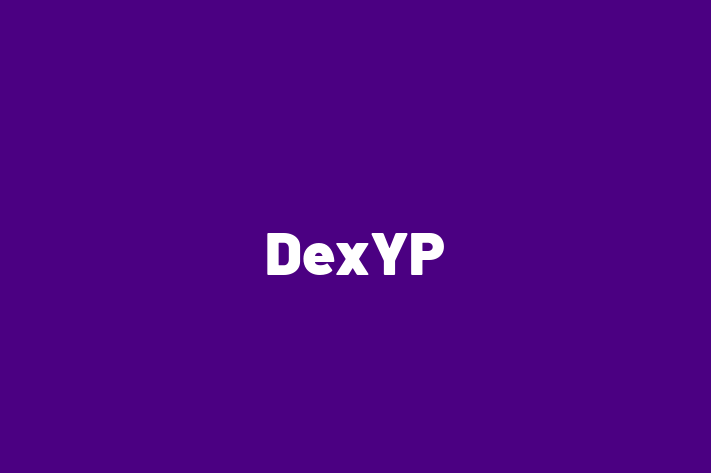 Software Consultancy DexYP