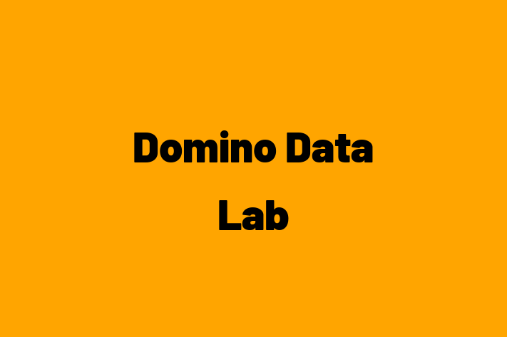 Technology Solutions Firm Domino Data Lab