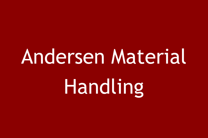 Application Development Company Andersen Material Handling