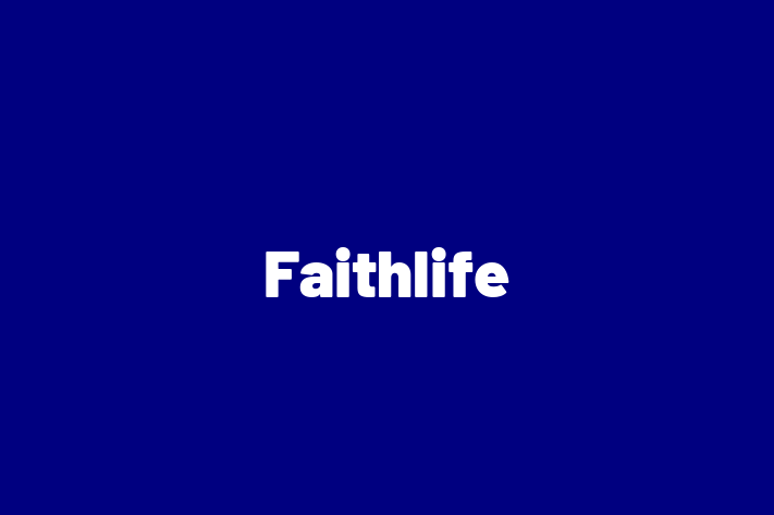 Software Consultancy Faithlife