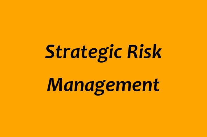 Application Development Company Strategic Risk Management