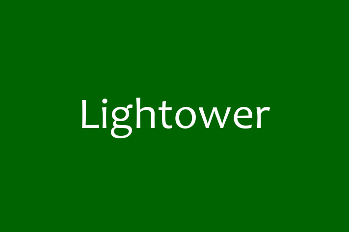 Tech Firm Lightower