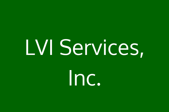 IT Company LVI Services Inc.