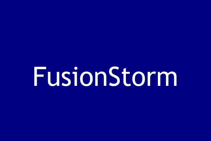 Software Development Company FusionStorm