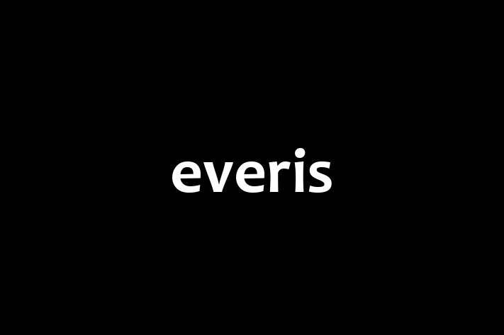 IT Company everis