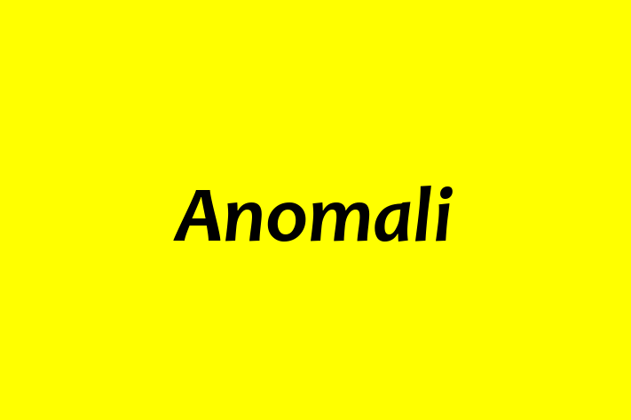 Software Solutions Provider Anomali