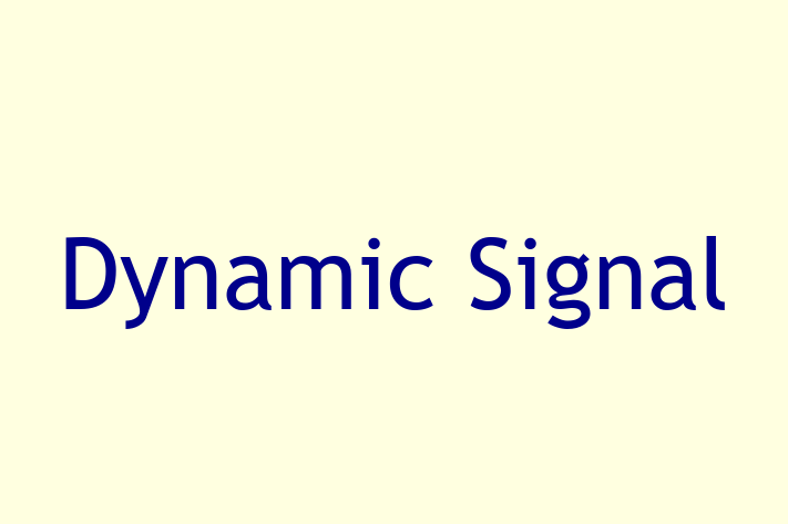 Software Engineering Company Dynamic Signal