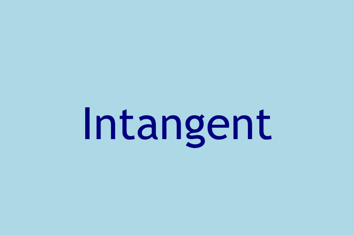 Technology Company Intangent