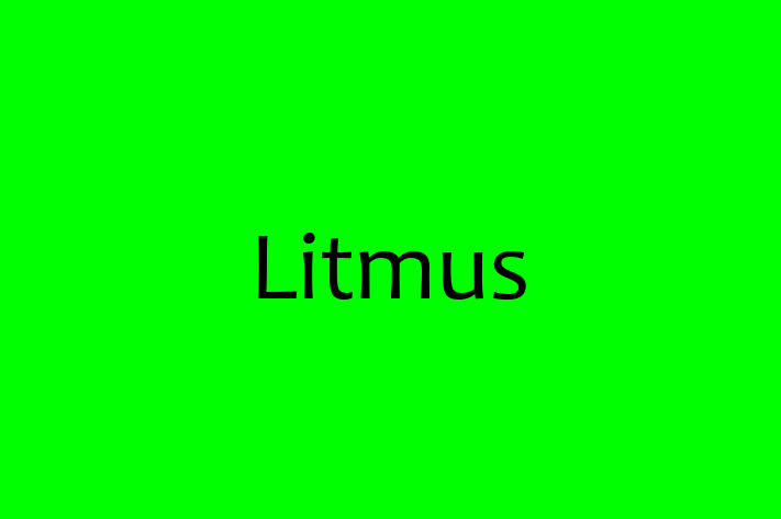 Software Services Company Litmus