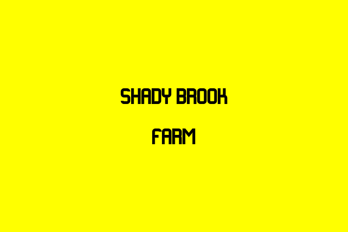 Talent Management Shady Brook Farm