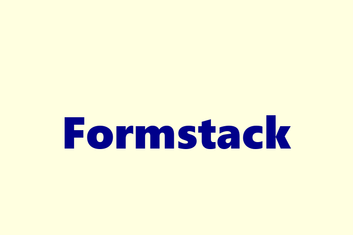 Tech Solutions Company Formstack