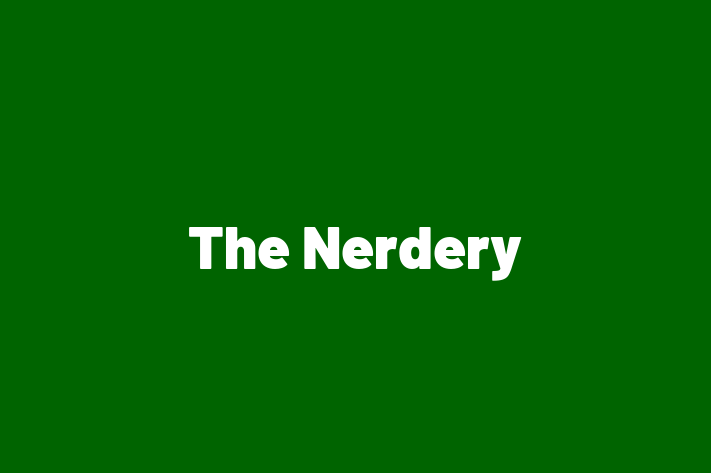 Technology Solutions Firm The Nerdery