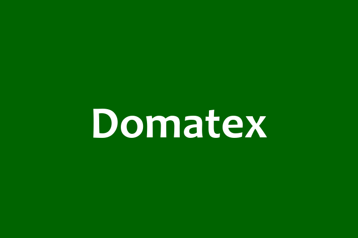 Software Consultancy Domatex