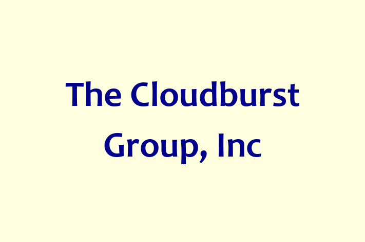 Software Firm The Cloudburst Group Inc